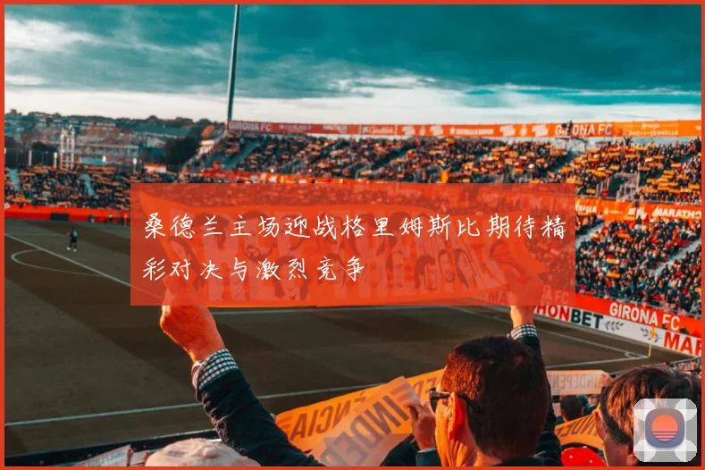 桑德兰主场迎战格里姆斯比期待精彩对决与激烈竞争