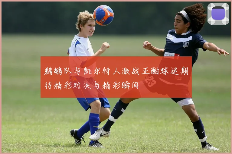 鹈鹕队与凯尔特人激战正酣球迷期待精彩对决与精彩瞬间
