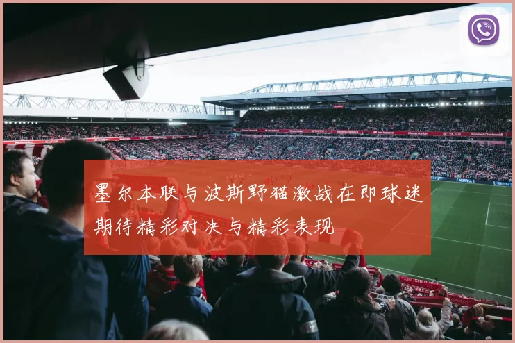 墨尔本联与波斯野猫激战在即球迷期待精彩对决与精彩表现