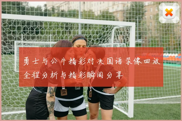 勇士与公牛精彩对决国语录像回放全程分析与精彩瞬间分享