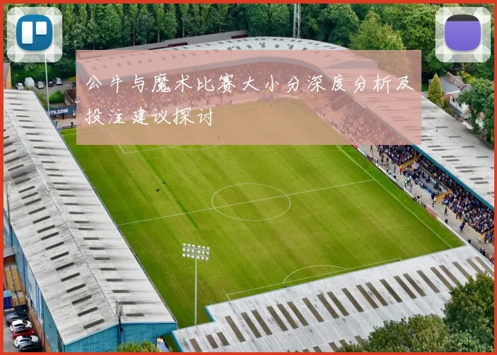 公牛与魔术比赛大小分深度分析及投注建议探讨